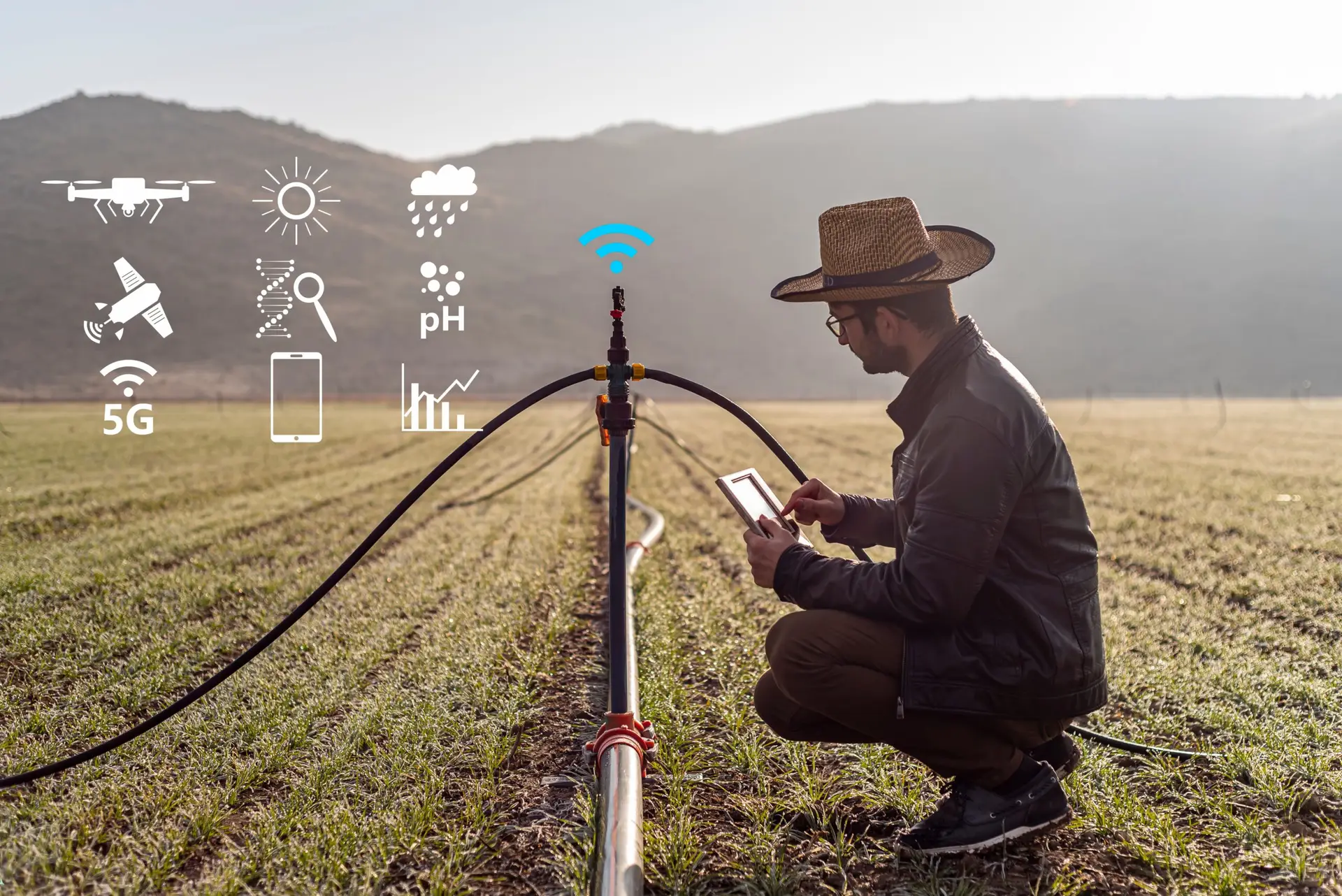 Smart farming argriculture concept. Man hands holding a tablet on blurred organic farm as background. smart irrigation technology. american farmer